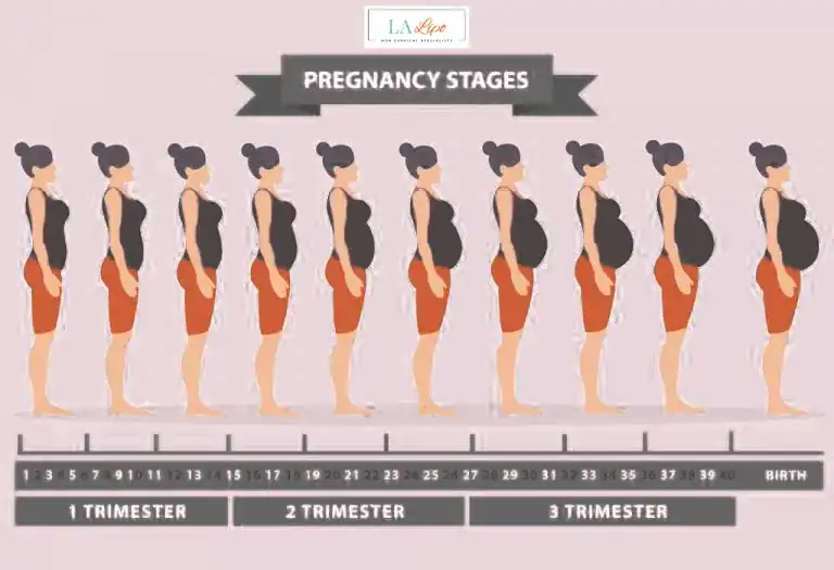 First Trimester (Weeks 1–12): Early Changes You Might Not Notice Coventry